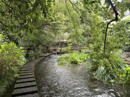 故郷の三島でパワーチャージ