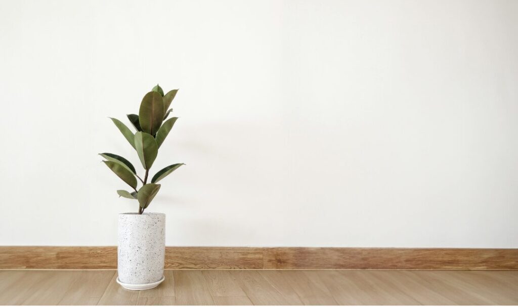 回復を信じて待つという整え方