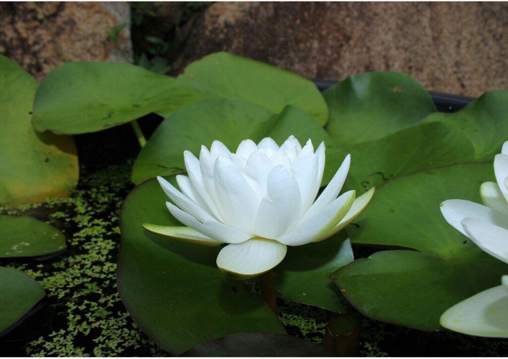 前進し続ける為に