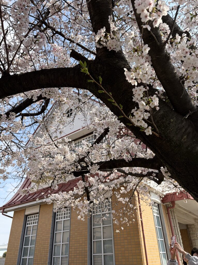 整えるベストタイミングの季節