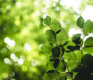 「こんな日が来るなんて…」身体が変わったお話