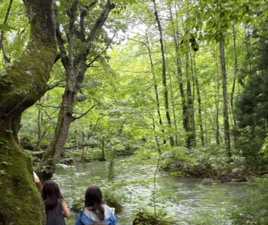 夏休みを終え、思うこと。